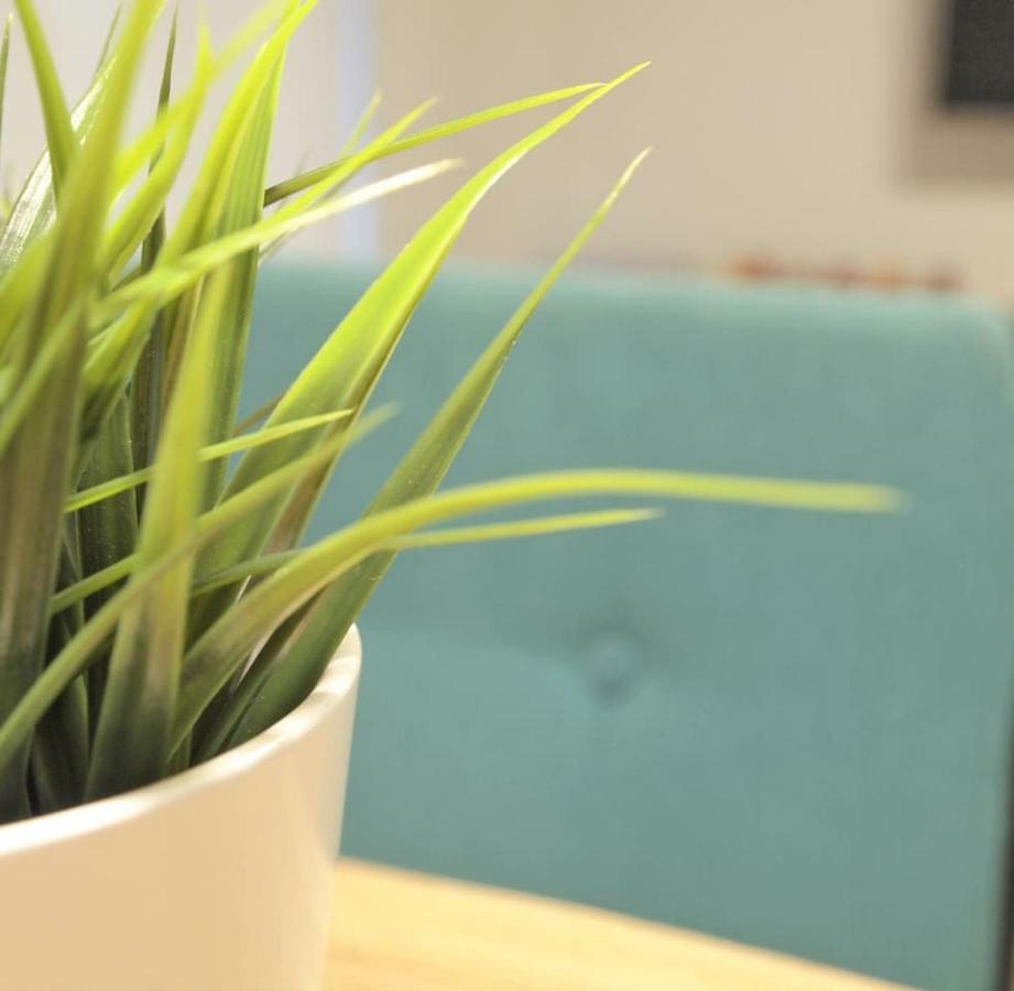 Apartamento Estella-Lizarra Exteriör bild